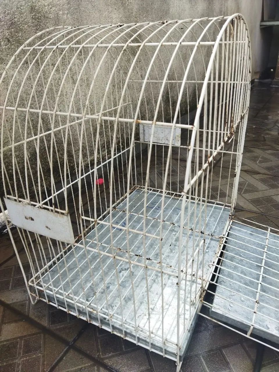 Gaiola papagaio  - Foto 3