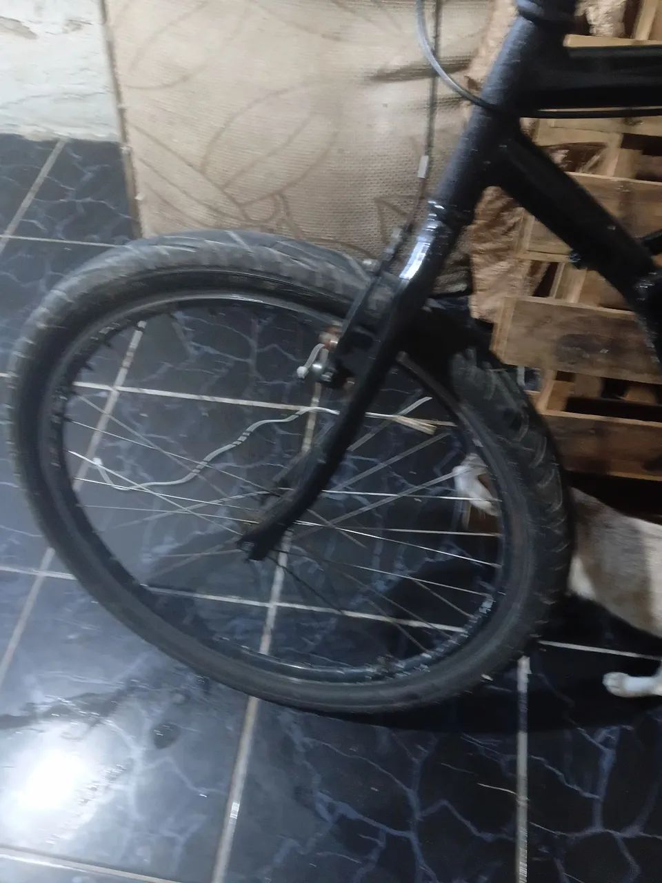 Bicicleta  - Foto 4