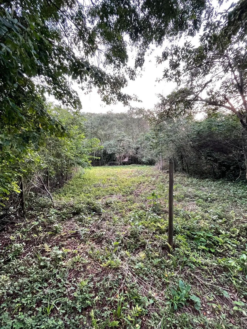 Lote em Barão de Iriri, Magé  - Foto 2