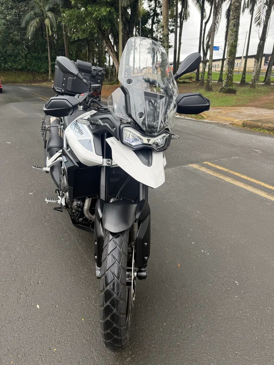 Tiger 900 GT - Foto 3