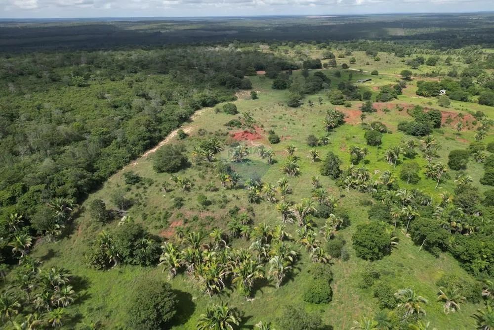 Propriedade Rural a Venda - Babaçulândia Tocantins - Foto 5