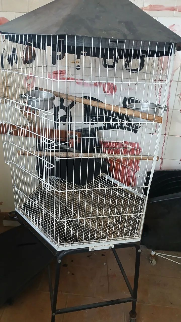 Gaiola de papagaio grande - Foto 2