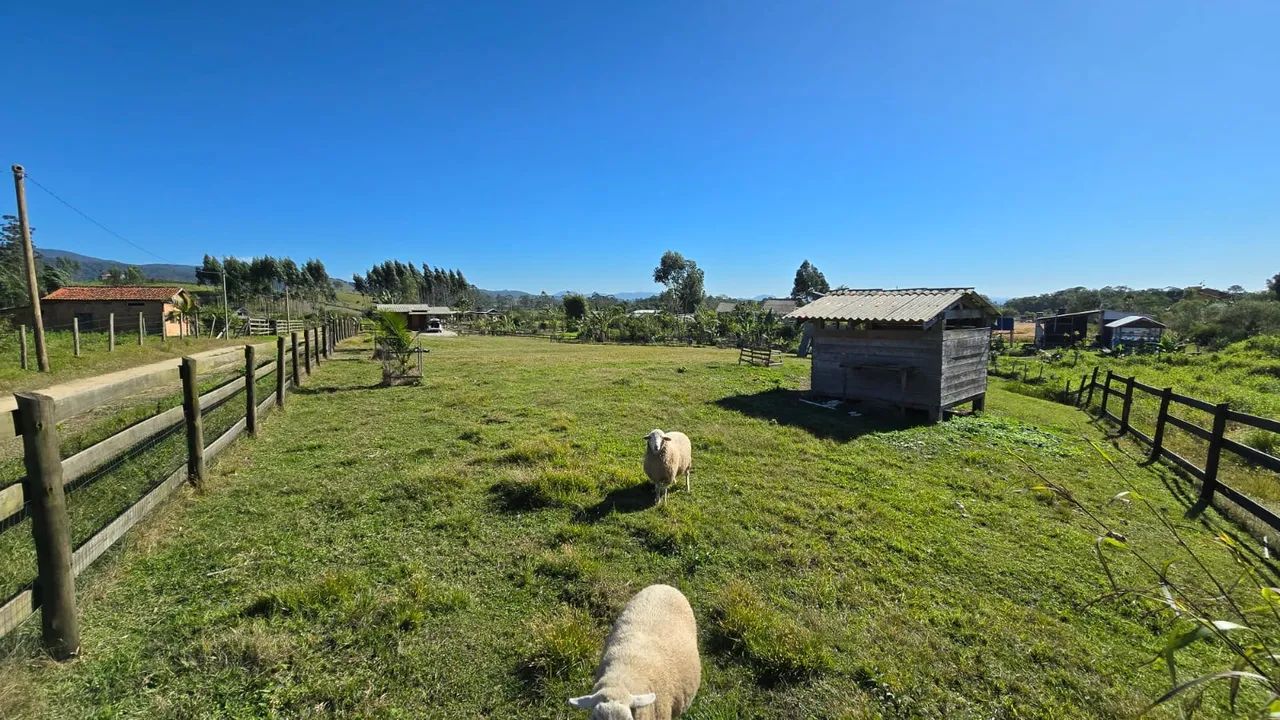 Lindo Sítio, estrada Timbé  - Foto 5
