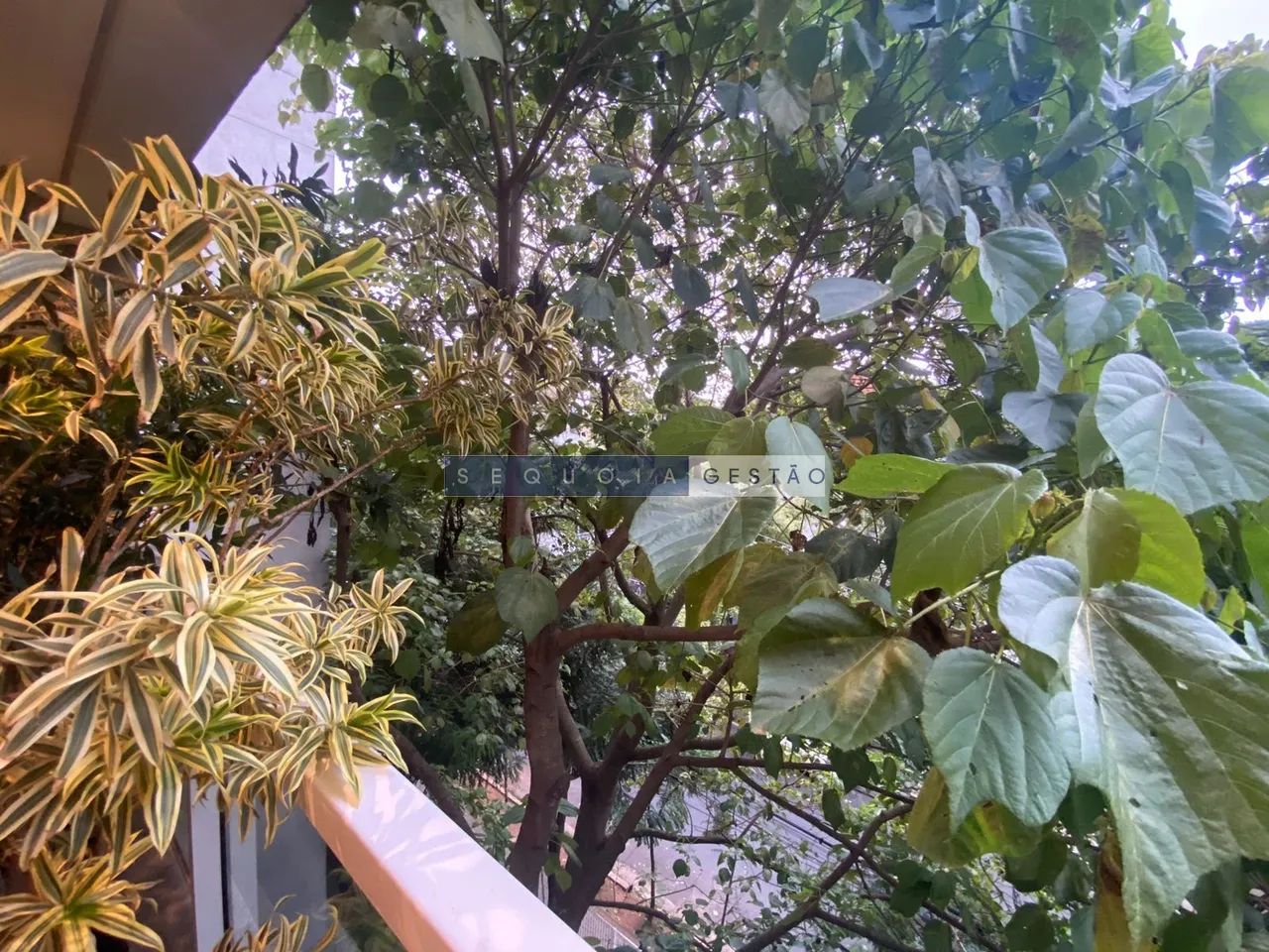 Sala em Pinheiros - São Paulo, SP - Foto 5