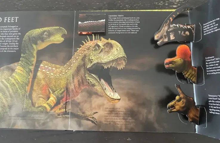 livro dinossauros - Foto 2