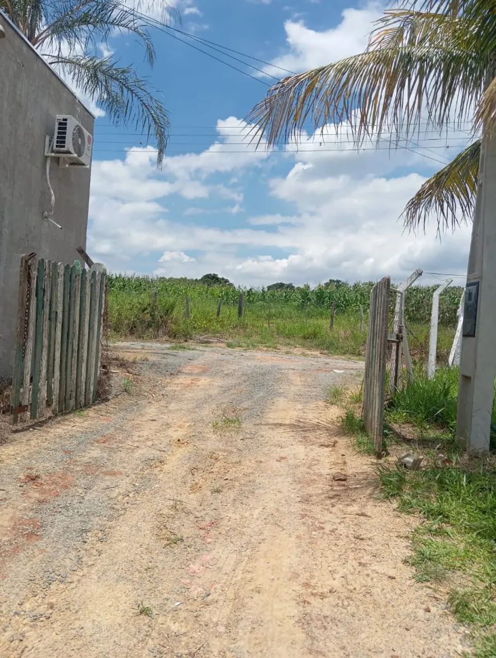 Foto - Americana - São Manoel