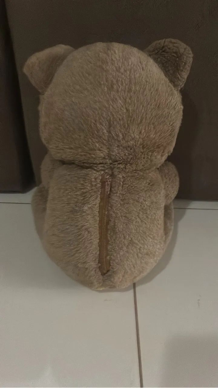 Urso - Foto 3