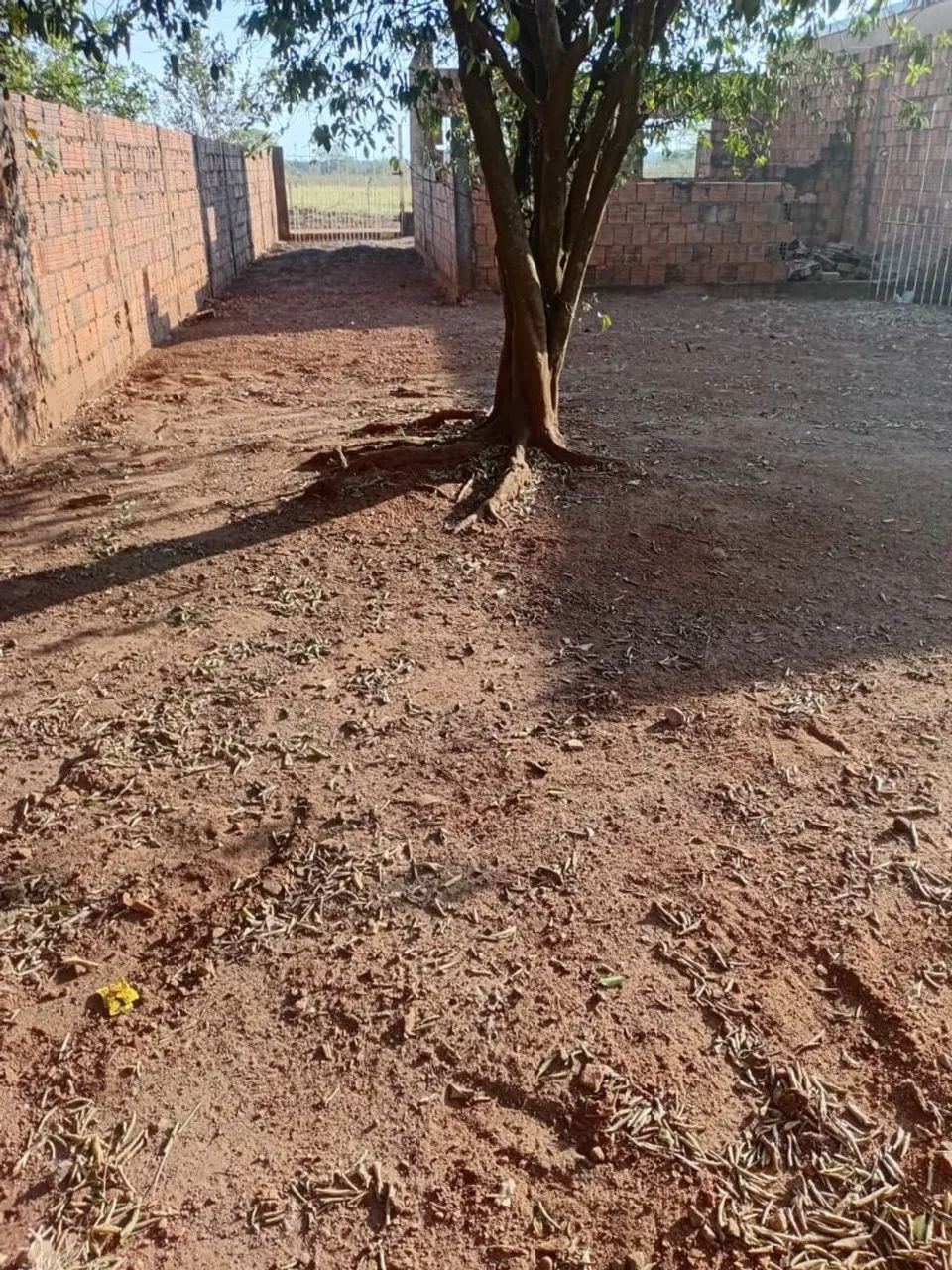 Vende-se terreno para sair rapido - Foto 3