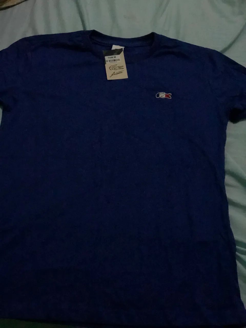 Vendo essas 4 camisa nova nunca usada - Foto 3