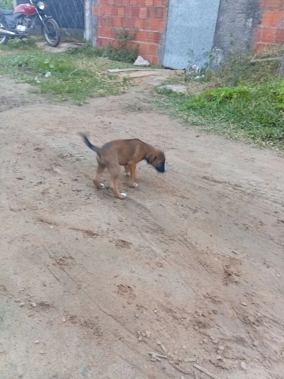 Pra doação  - Foto 3