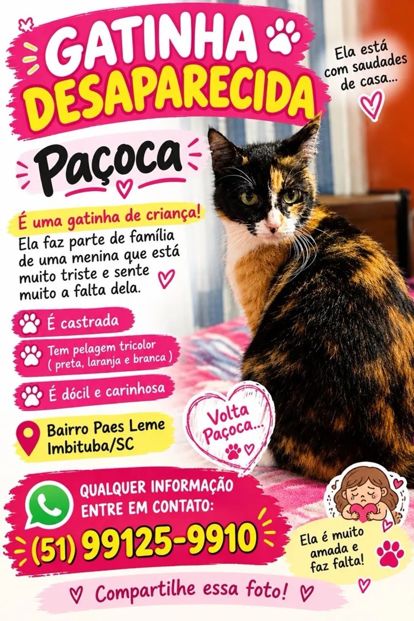 Gatinha perdida 
