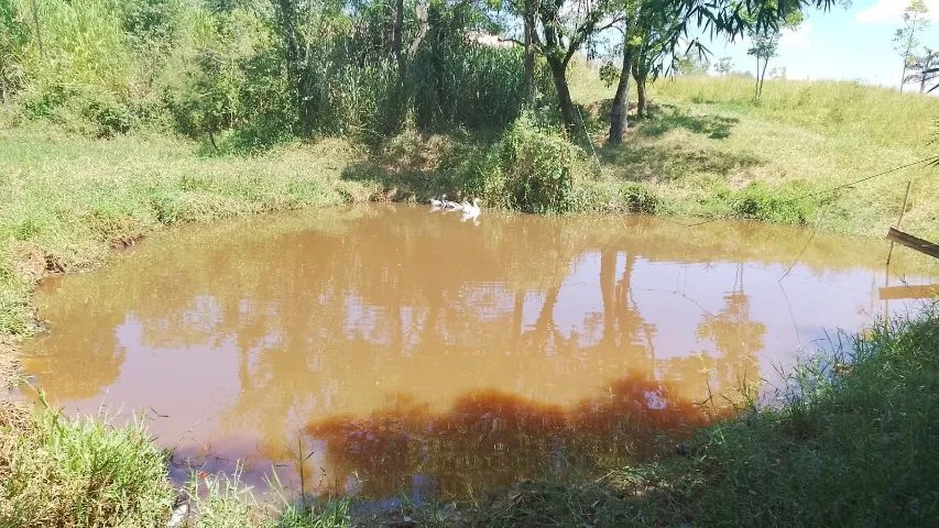 Foto - Campinas - Jardim do Trevo