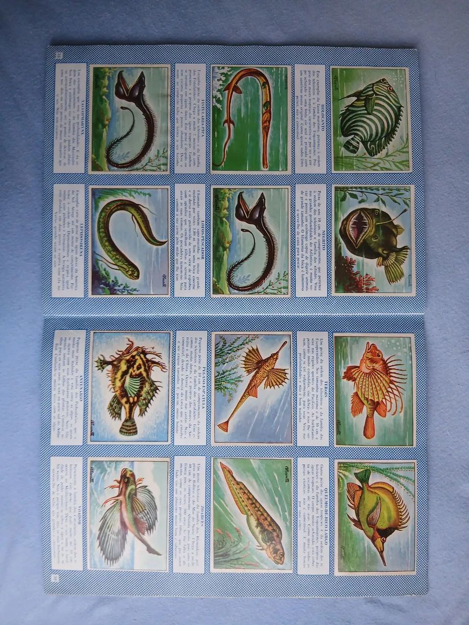 Álbum  História Natural  (completo) - Foto 4