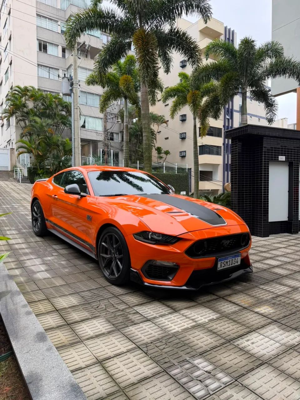 Ford Mustang Black Shadow 5.0 V8 2020 - Foto 4