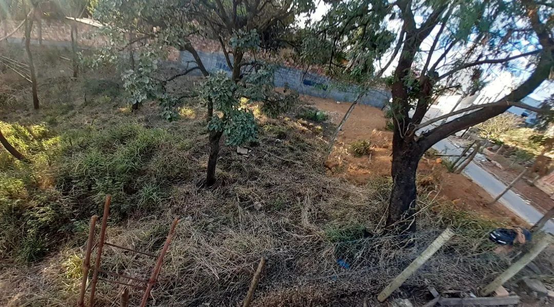 Vendo lote bem localizado  - Foto 2