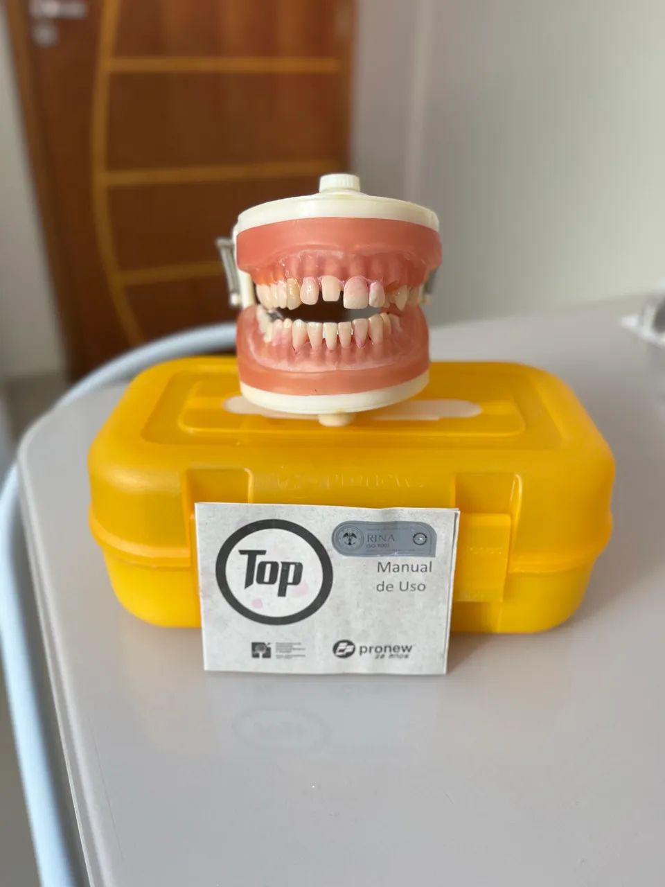 Manequim Dentistica Pronew