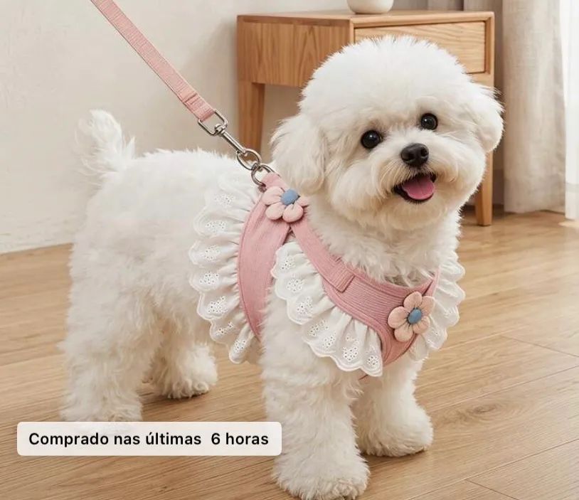 Vestido de Arnês de estimação 