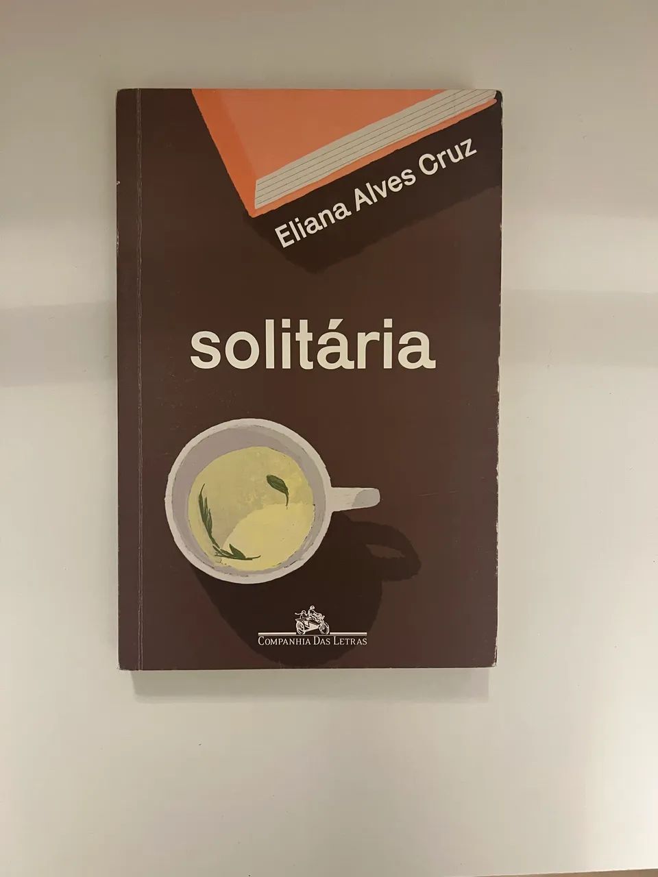 solitária, eliana alves cruz livro
