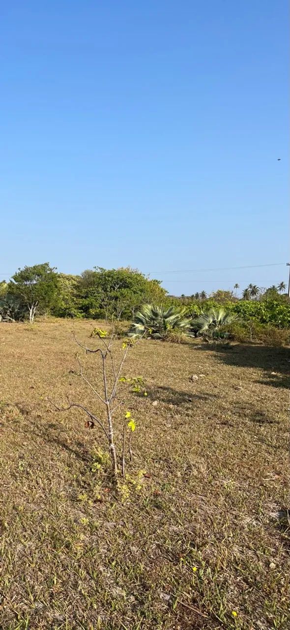Vende-se 2 Lotes  - Foto 5