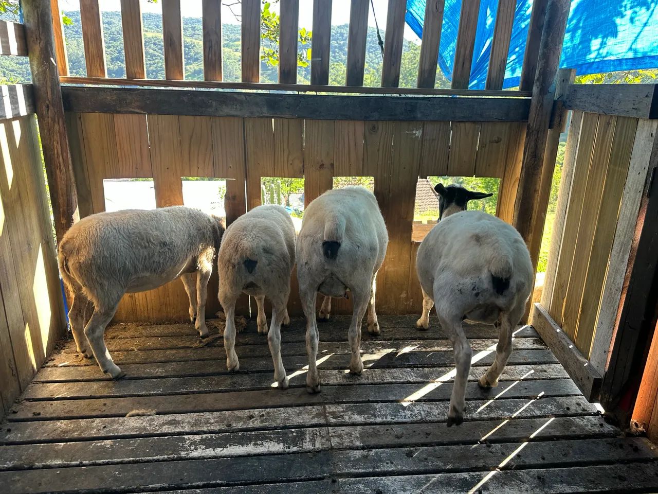 Vendo Troco  - Foto 3