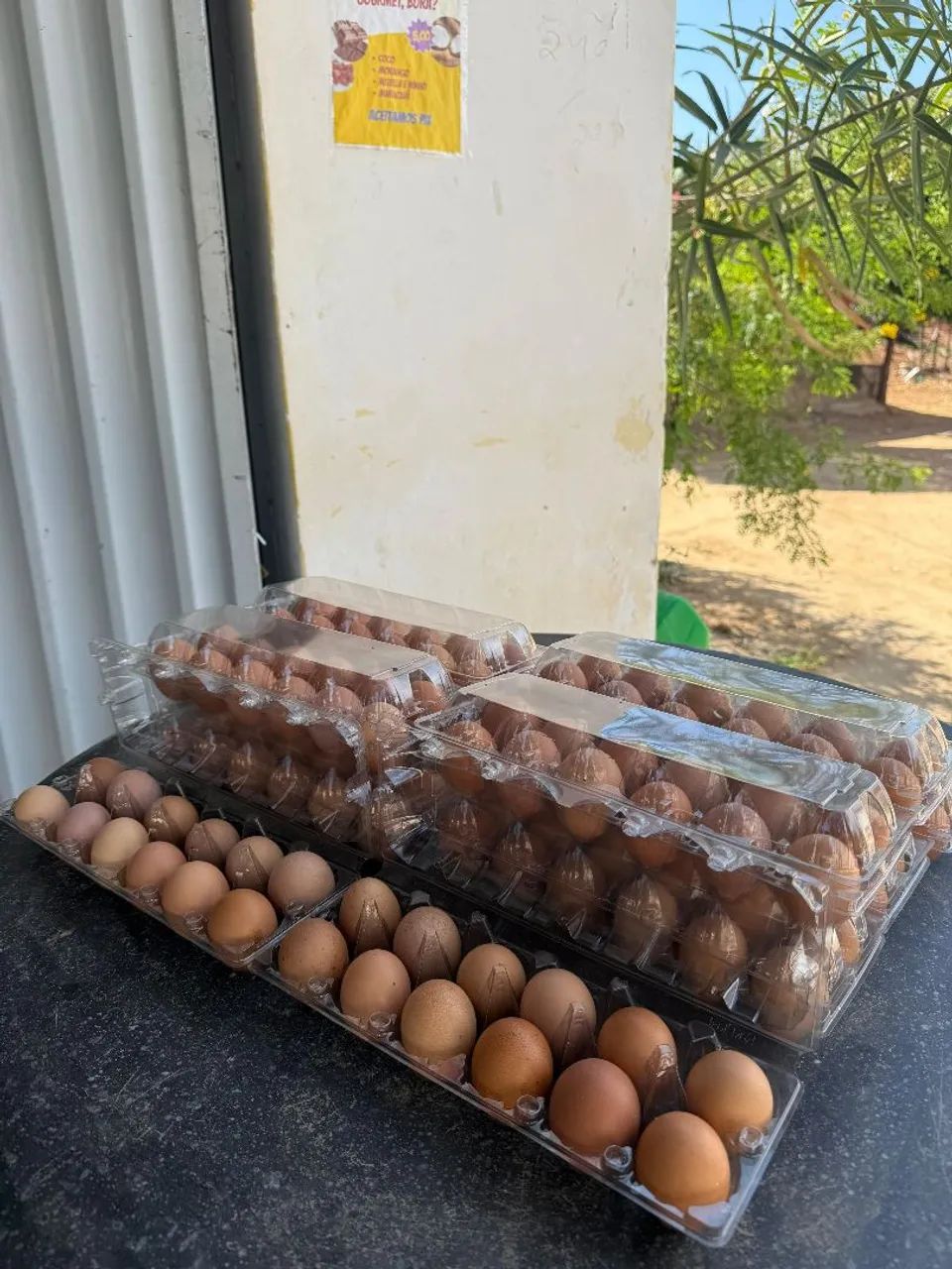 Ovos caipira  - Foto 2