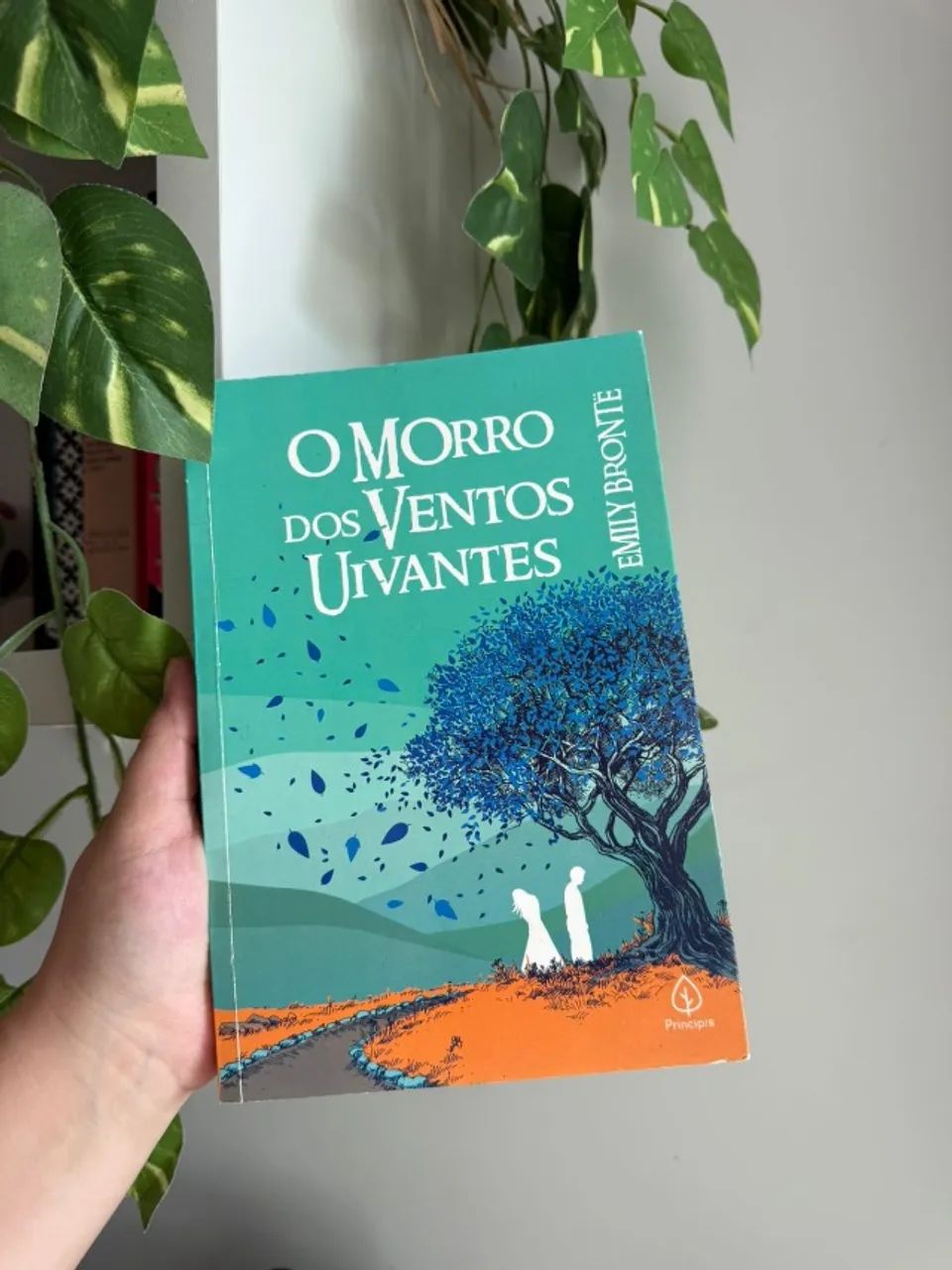 O morro dos ventos uivantes