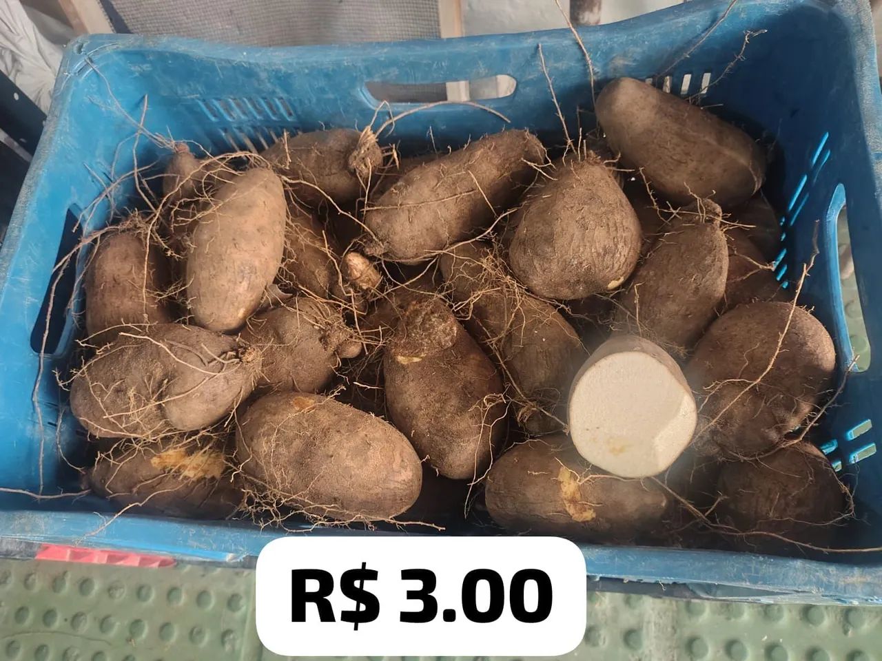 CARÁ DA PARAÍBA  - Foto 3