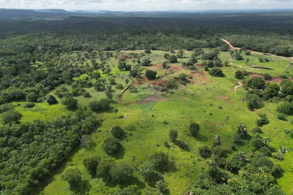 Propriedade Rural a Venda - Babaçulândia Tocantins - Foto 2