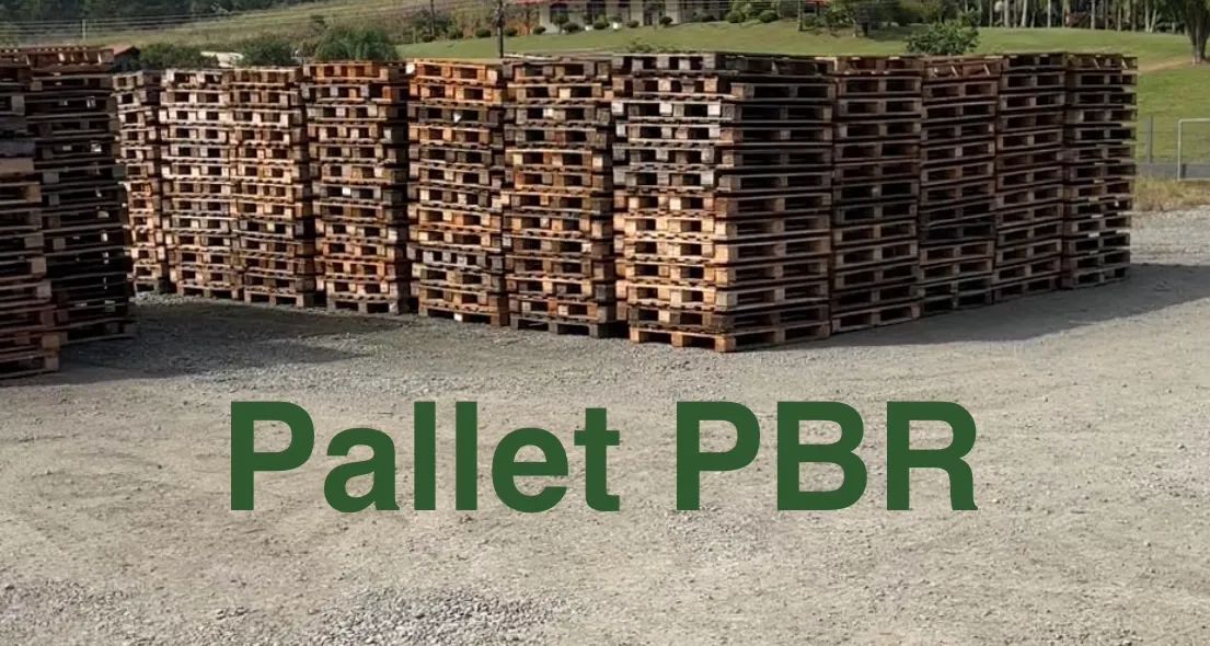 Pallet PBR ( Reformado)