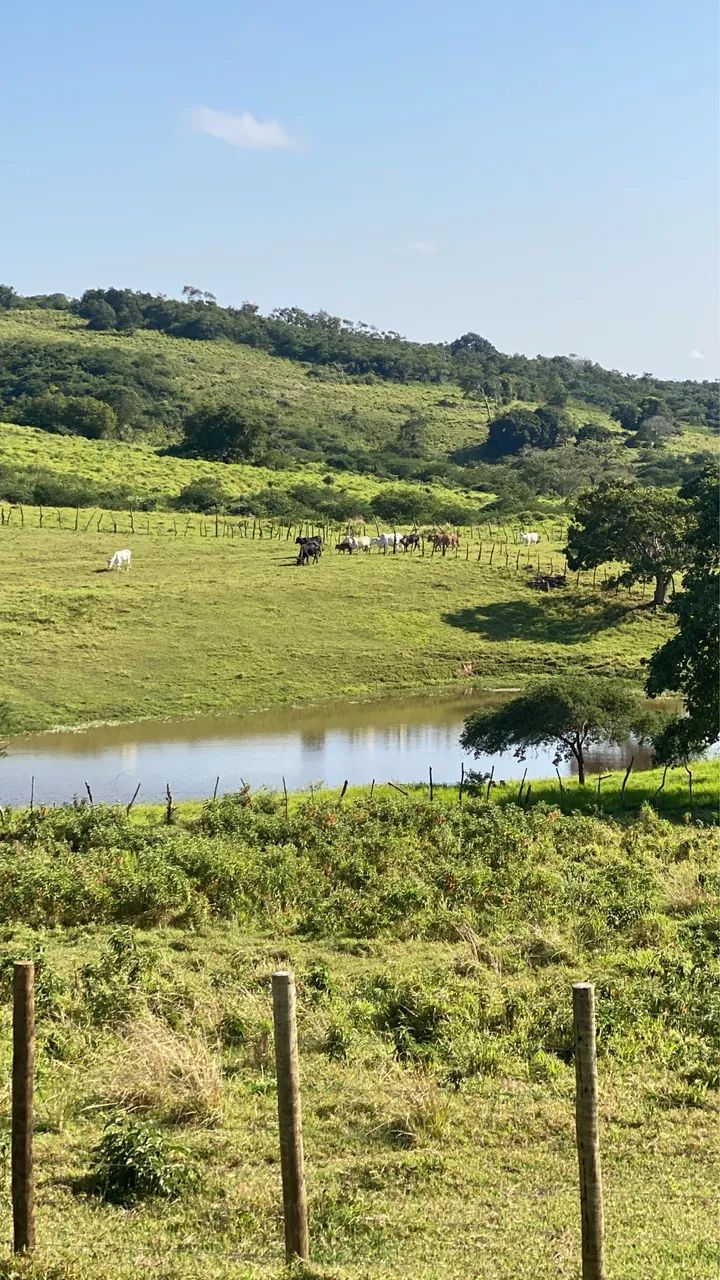 Lote de Chácaras Alto de Palmeira dos Índios  - Foto 3