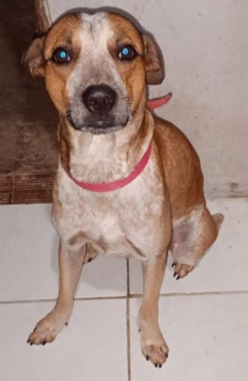 Doação  - Foto 3