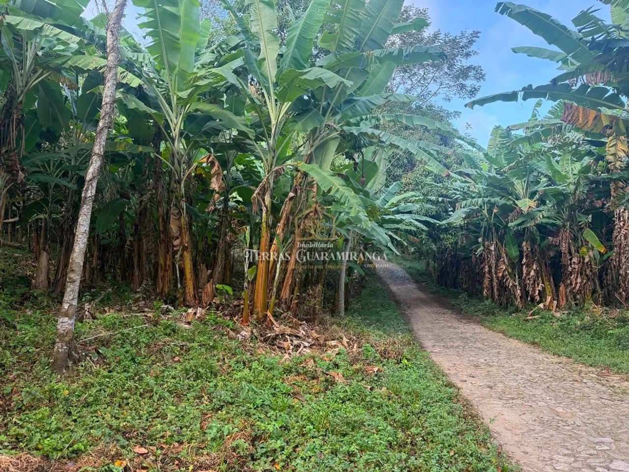 TERRENO NA CIDADE DE GUARAMIRANGA - CEARÁ - Foto 5