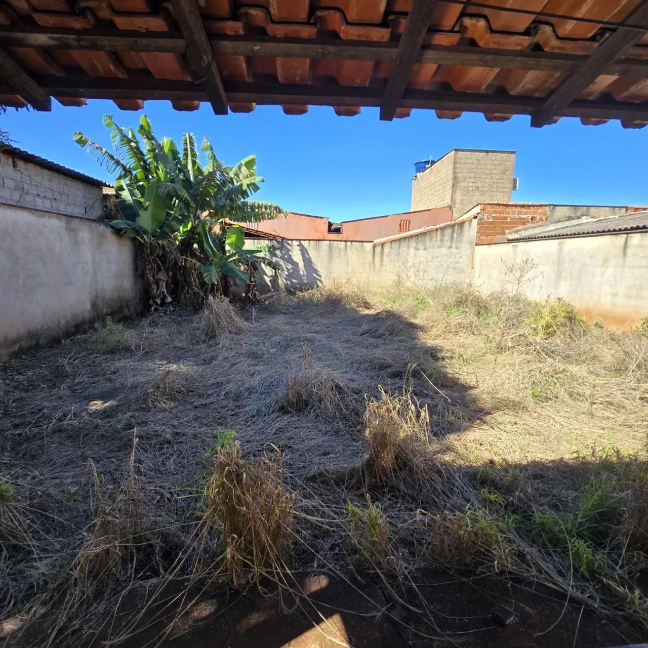 Condição única  - Foto 2