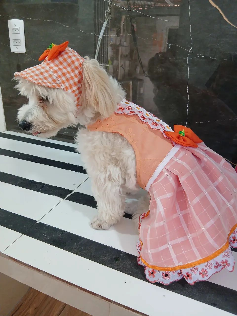 Roupas pets - Foto 4