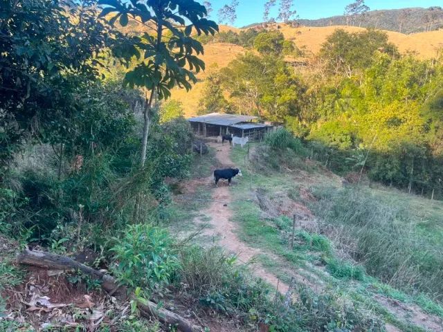 TERRENO EM PAULO LOPES - Foto 2