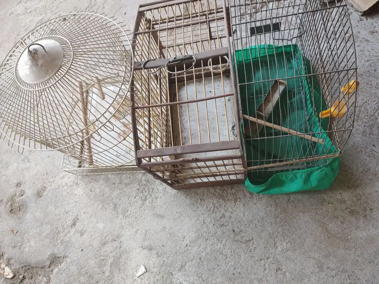 3 Gaiolas 