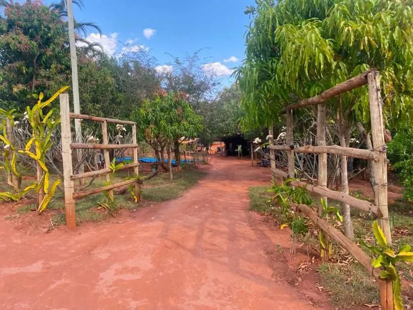 Vendo Chácara - Foto 4