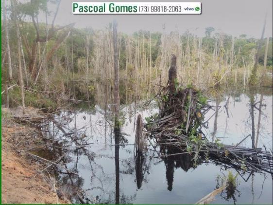 95 % Plana, Prado, Bahia - Foto 7