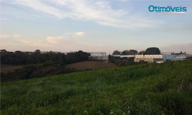 Área à venda, colônia zacarias, são josé dos pinhais - ar0002. - Foto 11