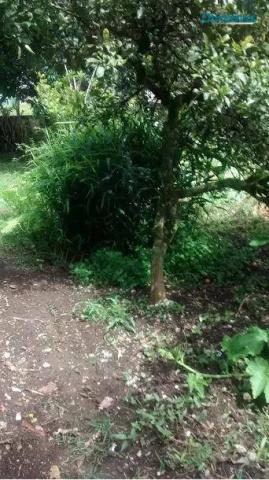 Terreno zr4 à venda, costeira, são josé dos pinhais. - Foto 7