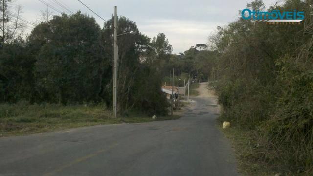 Área comercial à venda, itália, são josé dos pinhais - ar0003. - Foto 5