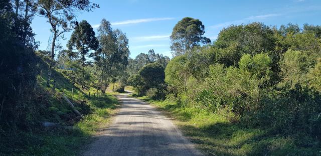 Sítio em Urubici/Rio Rufino/chacara - Foto 16