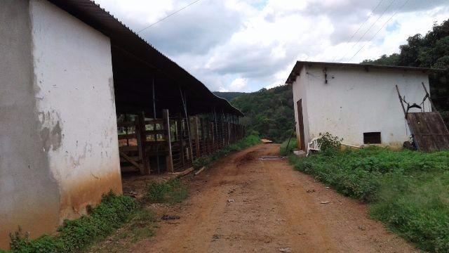 Fazenda 80 Ha Pitangui - Foto 7