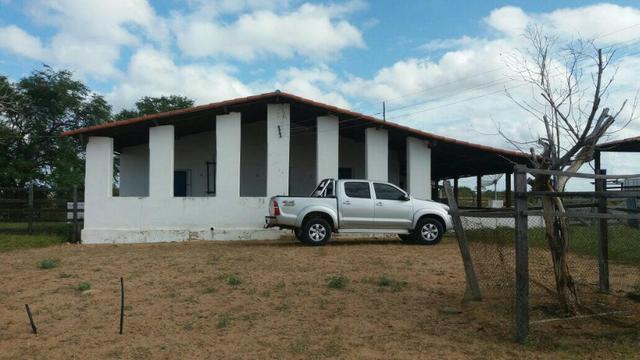 Fazenda Fernando Pedrosa, 489 Hectares, Escriturada, 7km Rio Pajeú, Açude, Casa Sede - Foto 3