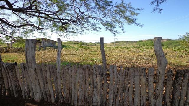 Fazenda Fernando Pedrosa, 489 Hectares, Escriturada, 7km Rio Pajeú, Açude, Casa Sede - Foto 18