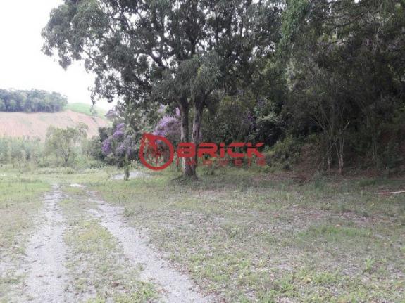 Terreno com 40.000m² e com 5.000 pés de eucalipto em papucaia - Foto 11
