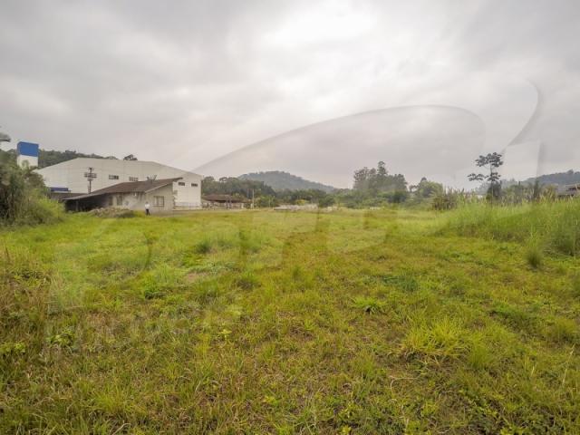 Terreno com aproximadamente 2.500 m², no bairro badenfurt . - Foto 7
