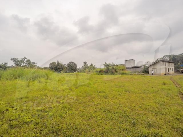 Terreno com aproximadamente 2.500 m², no bairro badenfurt . - Foto 10
