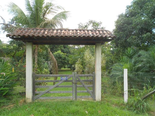Caetano Imóveis - Sítio todo arborizado, plano e com acesso asfaltado (confira!) - Foto 9