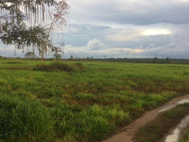 Vendo Fazenda para soja em Rondon -Pa - Foto 3